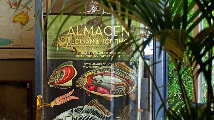 Almacén Alquián Óptimo