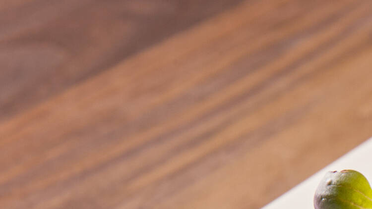 Jatoba