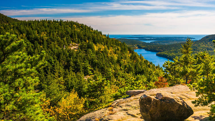 Acadia National Park | ME