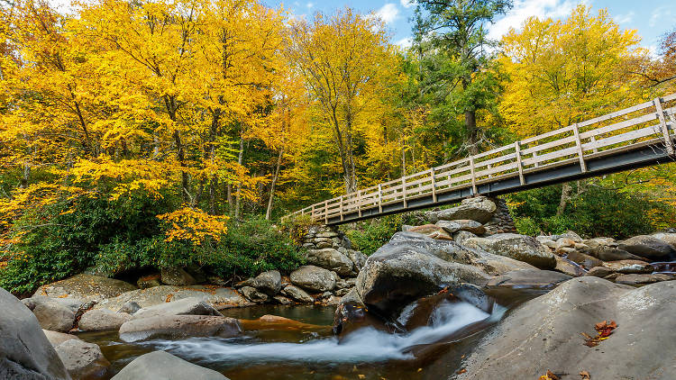 Great Smoky Mountains | TN