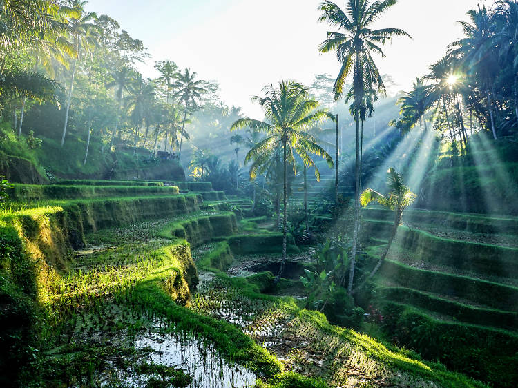 Bali 
