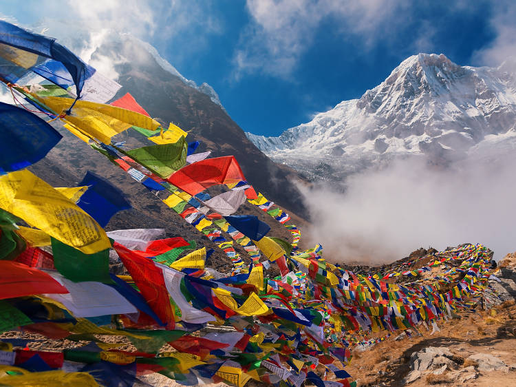 Himalayas 