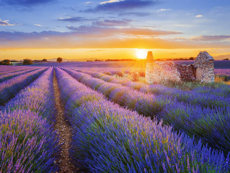 The 10 most romantic holidays in the world The 10 most romantic holidays in the world