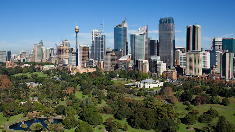 Royal Botanic Gardens aerial, morning