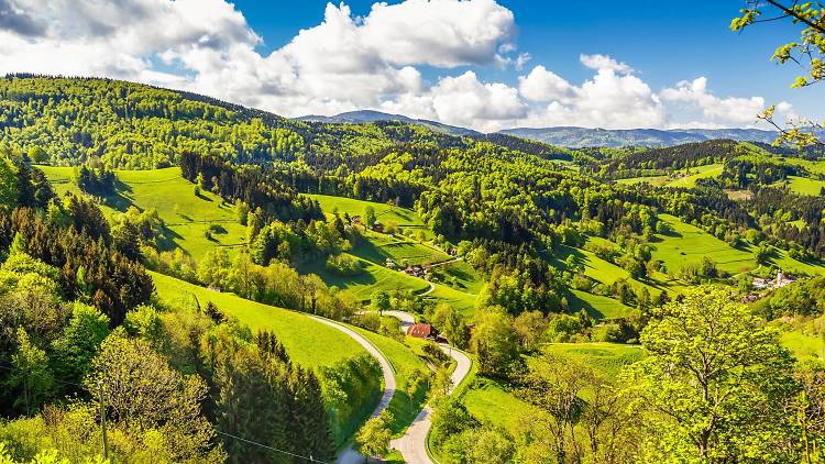 Rolling hills in the Black Forest region of Germany