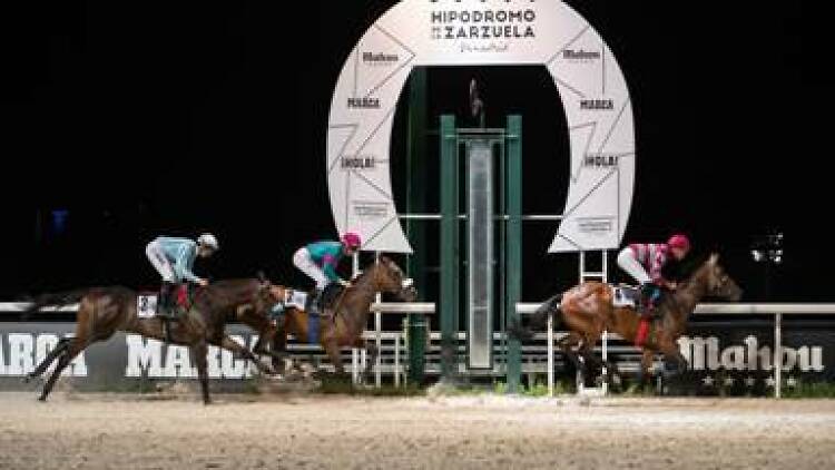 Noches del Hipódromo