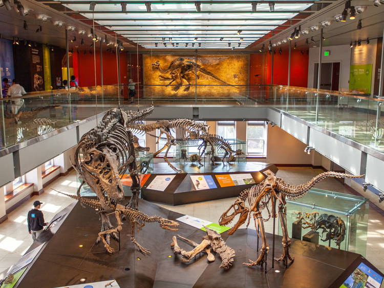 21 essential museums to visit in Los Angeles 21 essential museums to visit in Los Angeles