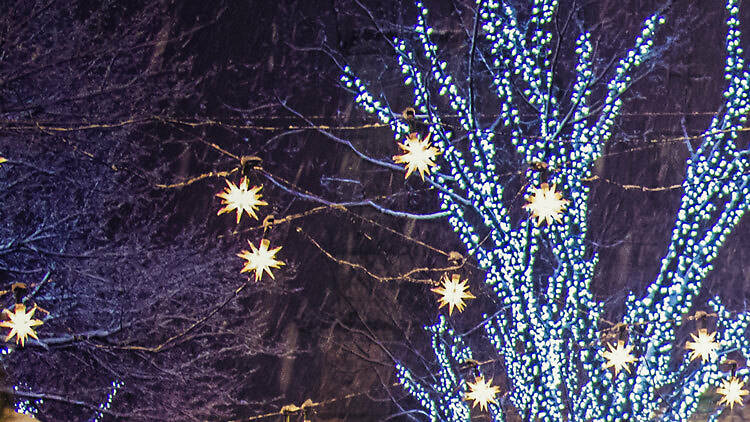 Where to find the perfect Montreal Christmas market