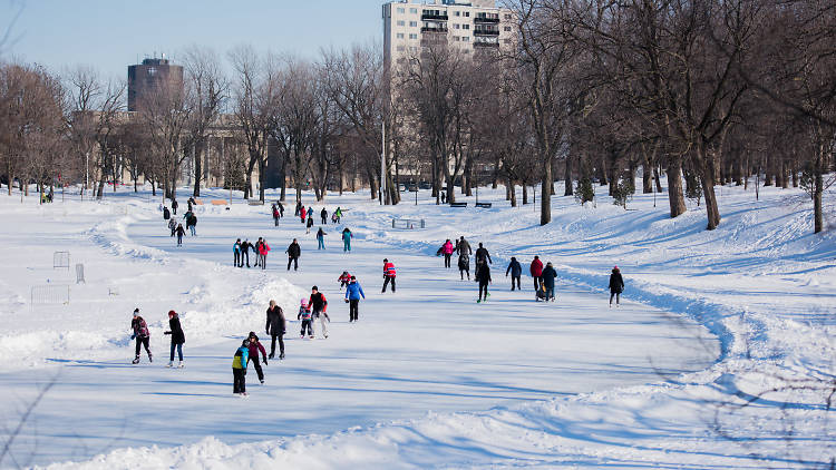 Things to do on Boxing Day in Montreal