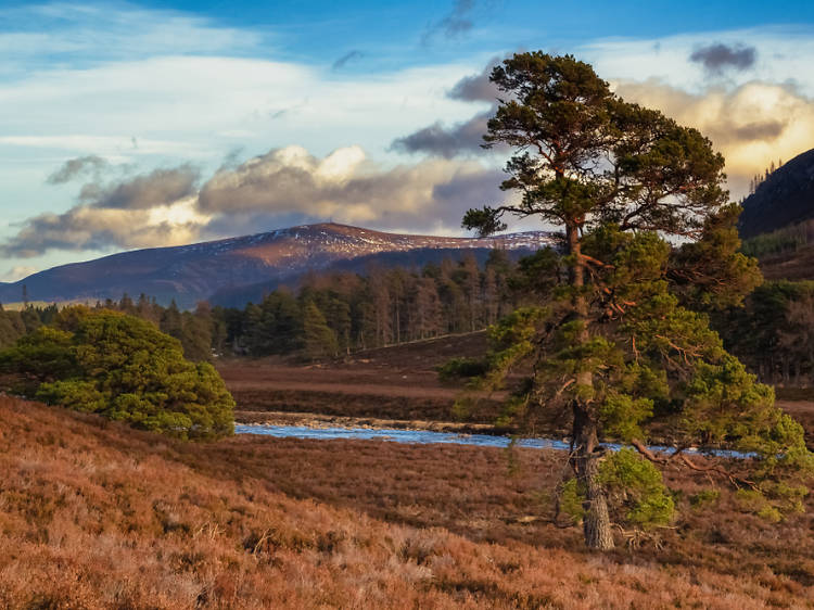 13 things to do in Royal Deeside 13 things to do in Royal Deeside