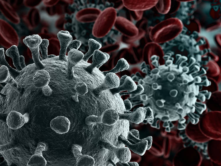Here's how NYC Schools are taking action against the coronavirus
