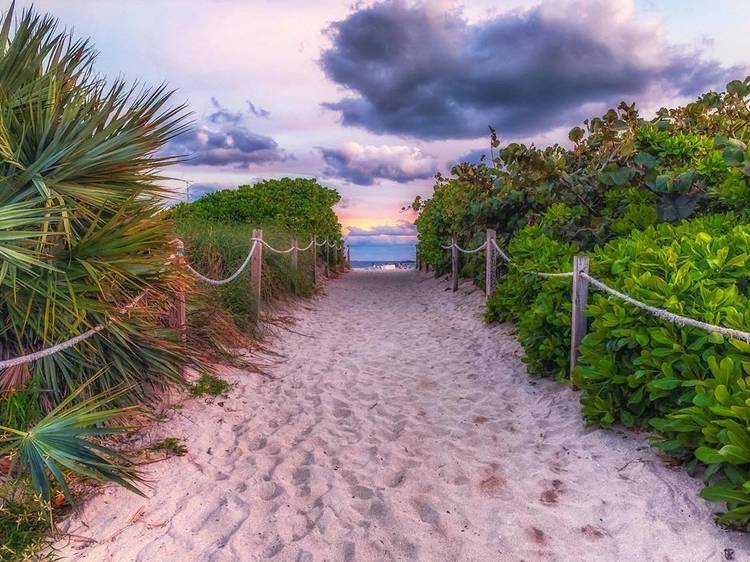 Feast your eyes on the most Instagrammable places in Miami Feast your eyes on the most Instagrammable places in Miami