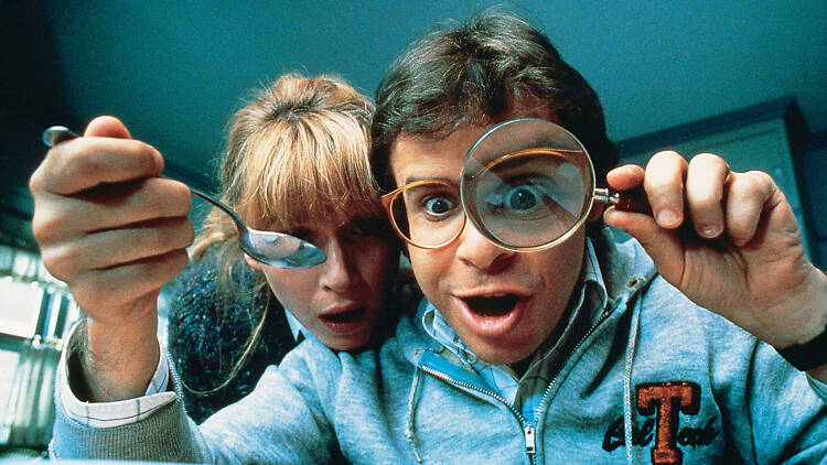 Honey, I Shrunk the Kids