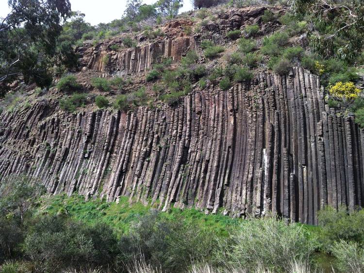 See the impressive Organ Pipes National Park