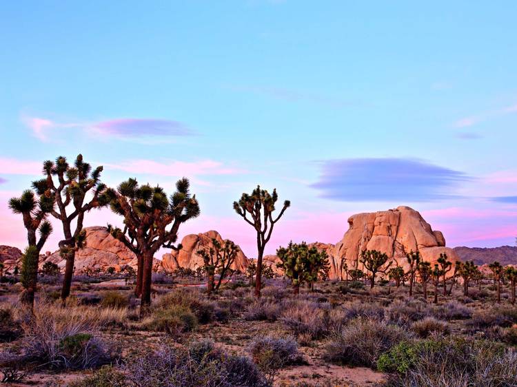 The best national parks in the U.S. that are open (and closed) The best national parks in the U.S. that are open (and closed)