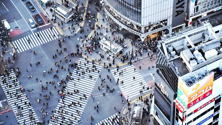Shibuya Crossing