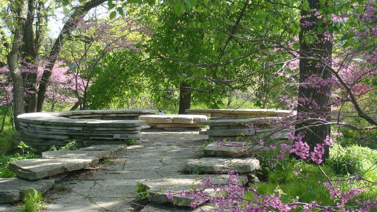 Alfred Caldwell Lily Pool