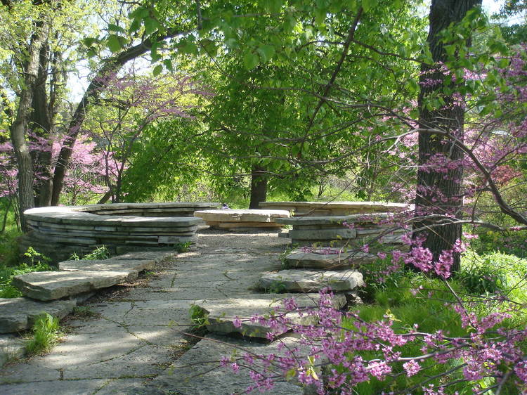 Alfred Caldwell Lily Pool