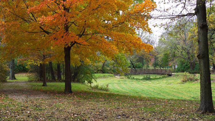 Take a stroll on the North Branch Trail