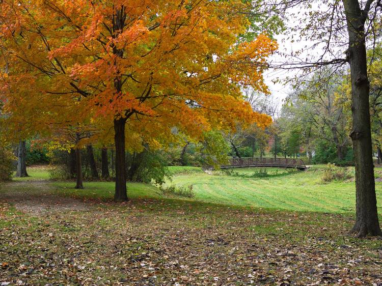 Take a stroll on the North Branch Trail