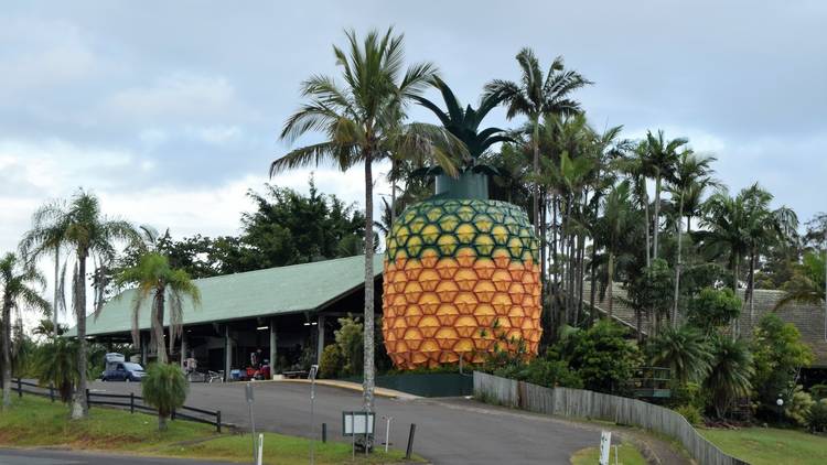 Snap a pic at The Big Pineapple
