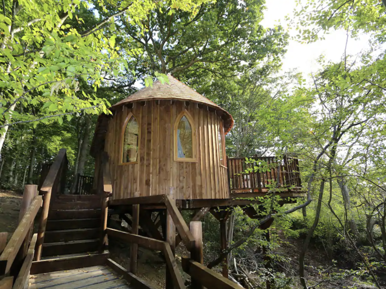 The luxe treehouse in East Sussex