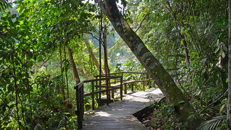 The best hiking trails and spots in Singapore
