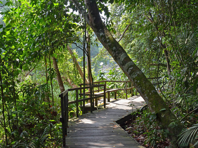 The best hiking trails and spots in Singapore
