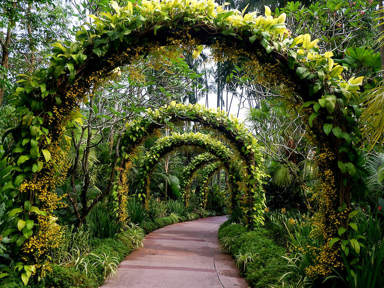 Singapore Botanic Gardens