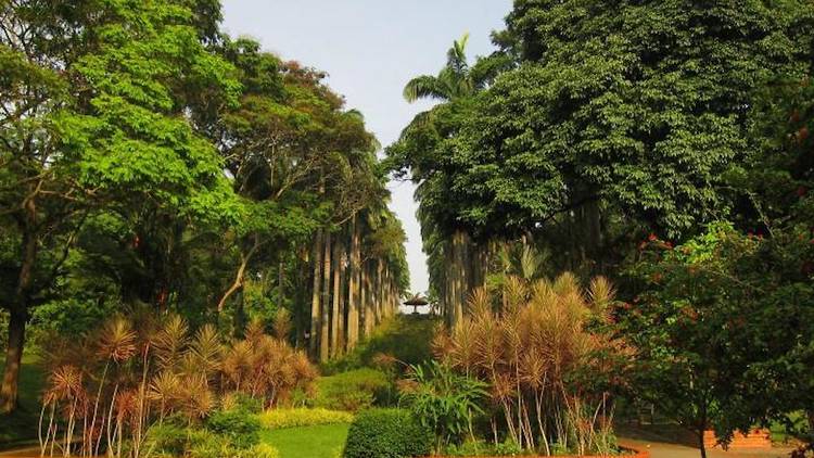Ang Mo Kio Town Garden