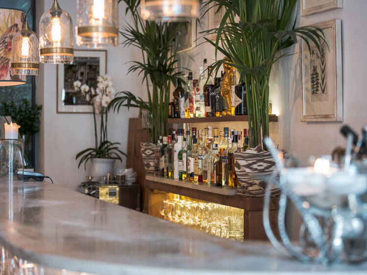Ficus Bar