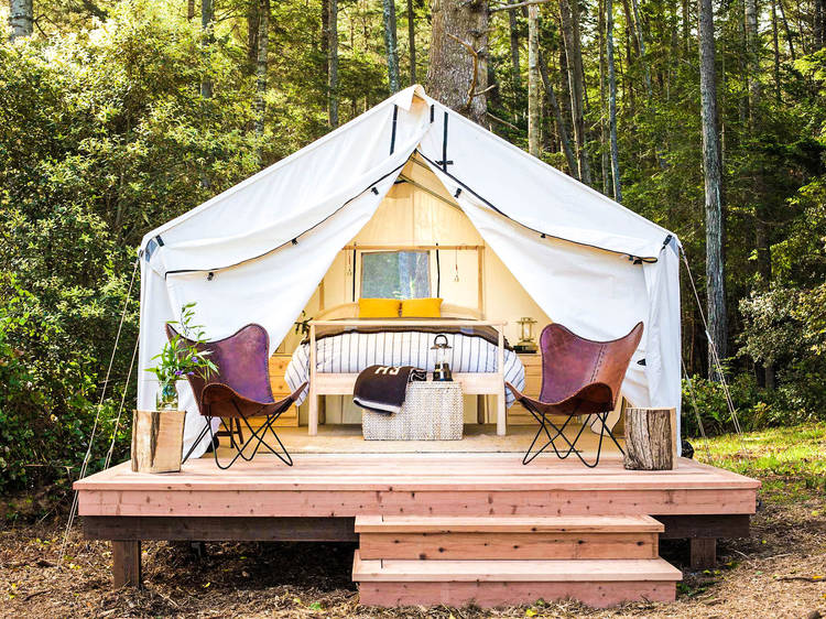 Mendocino Grove | Mendocino, CA