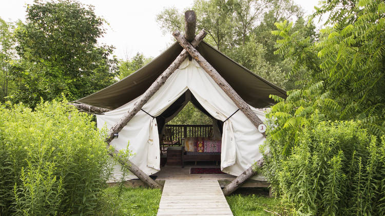 Firelight Camps | Ithaca, NY