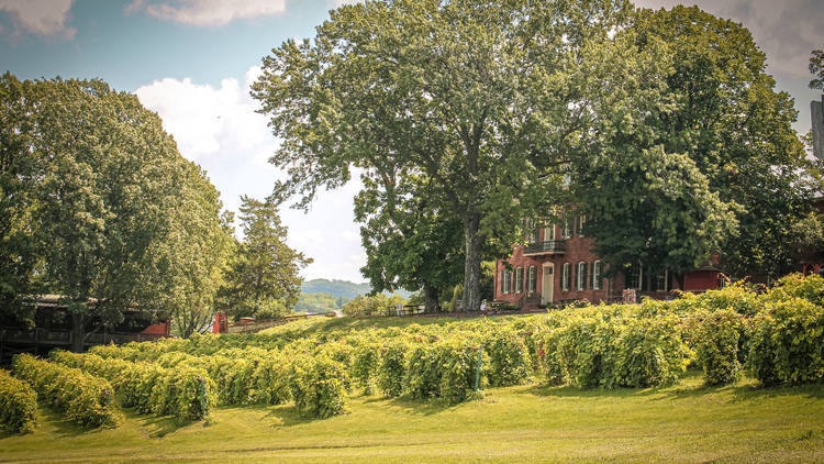 11 gorgeous Midwest wineries for a day trip
