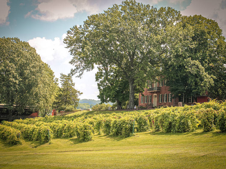 11 gorgeous Midwest wineries for a day trip
