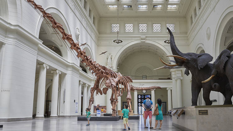 Travel back in time at the Field Museum