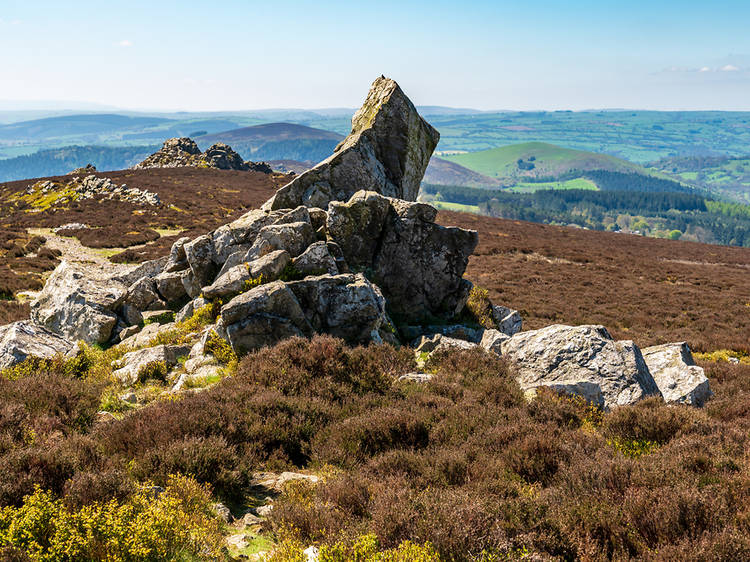 Shropshire