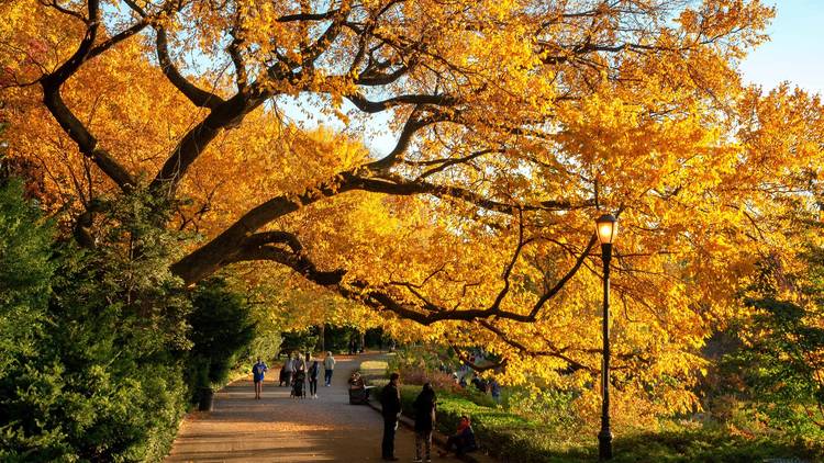 Fort Tryon Park, Manhattan