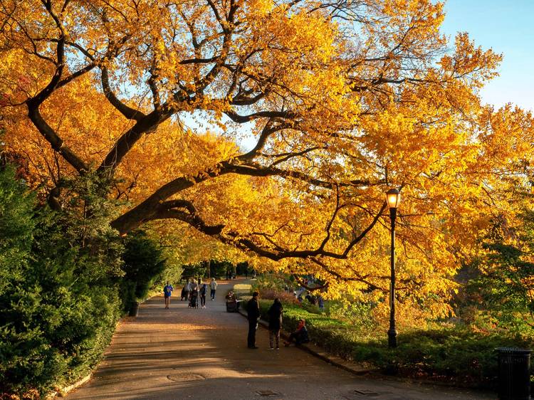 Fort Tryon Park, Manhattan