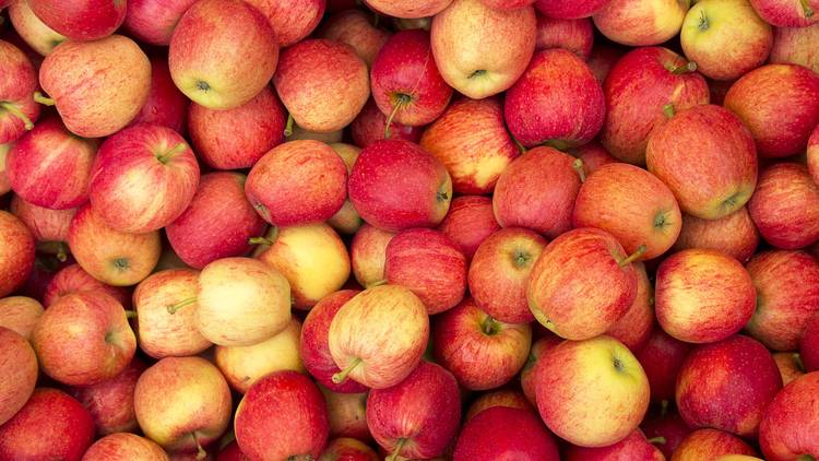 Stone Ridge Orchard