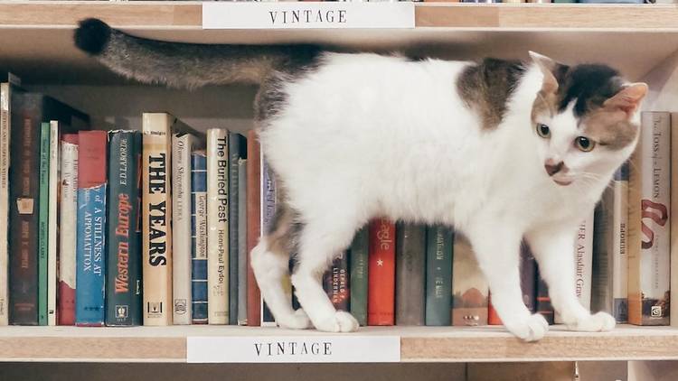 BooksActually