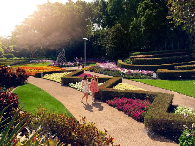 Roma Street Parkland