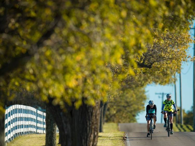 Kentucky Bourbon Trail | Lexington, KY Kentucky Bourbon Trail | Lexington, KY