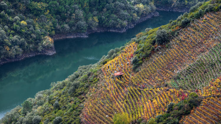 Ribeira Sacra (Lugo y Orense) Ribeira Sacra (Lugo y Orense)