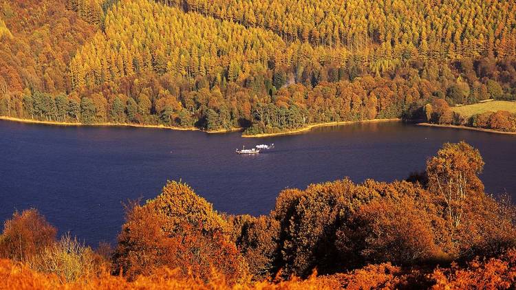 Grizedale Forest, Cumbria