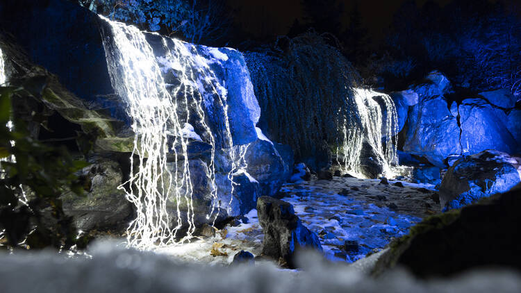 Check out the Chicago Botanic Garden