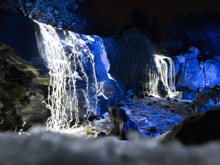 Check out the Chicago Botanic Garden