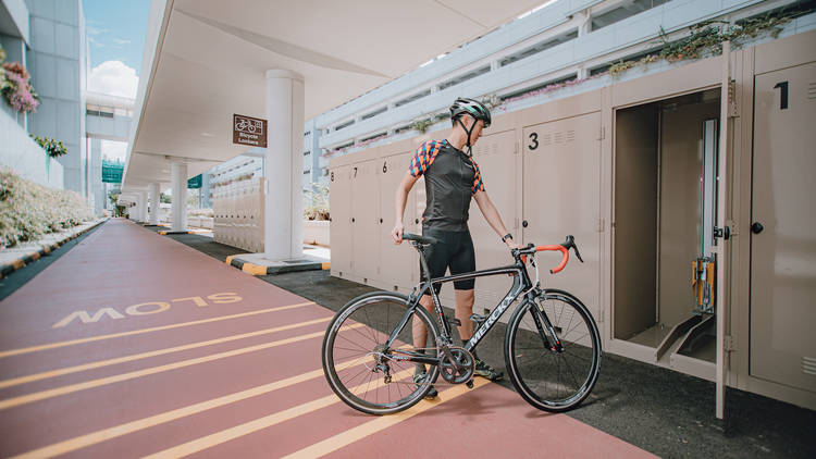 Changi Airport Connector, Hub & Spoke