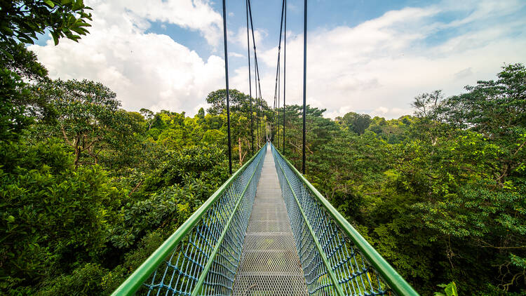 MacRitchie Reservoir