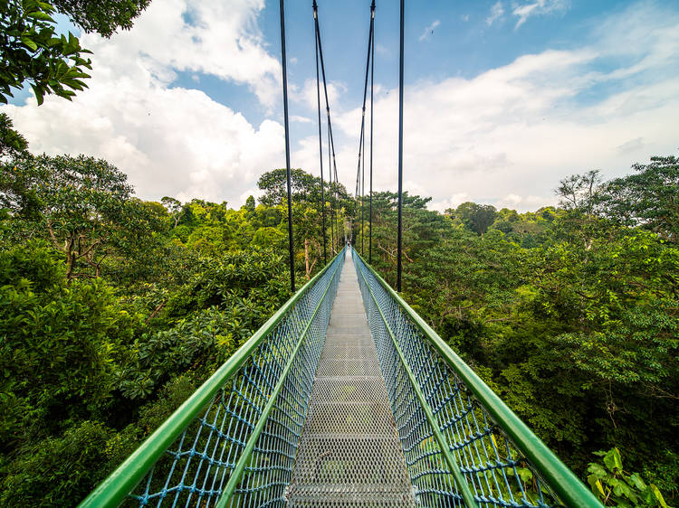 MacRitchie Reservoir